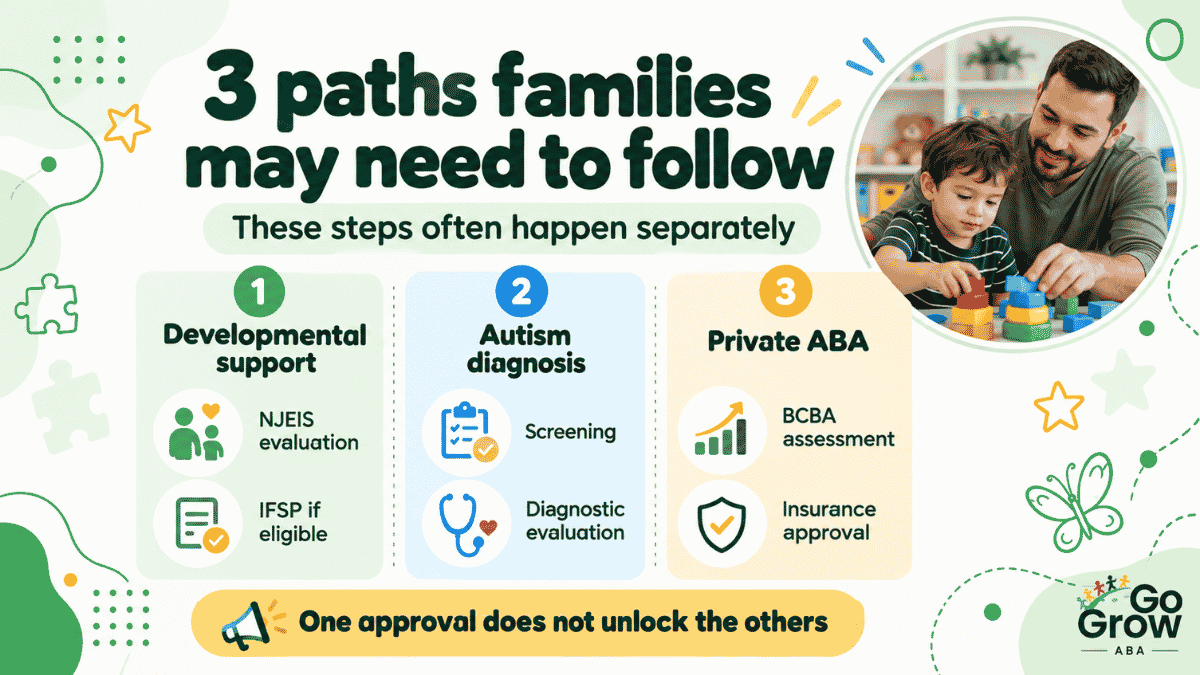 three-paths-to-developmental-care-and-evaluation